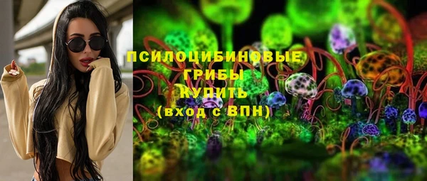 кокс Ессентукская