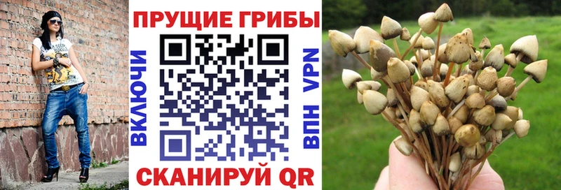 Галлюциногенные грибы MAGIC MUSHROOMS  даркнет сайт  Белая Калитва 