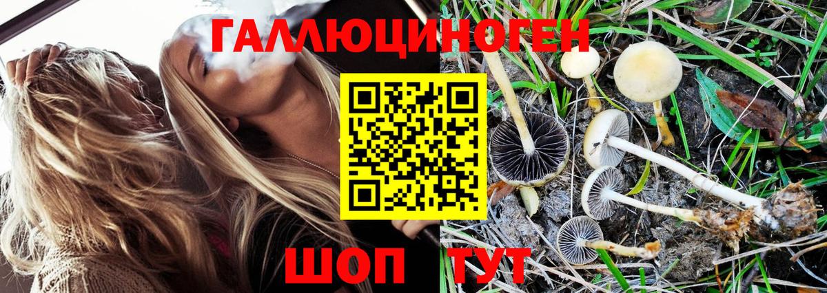 Галлюциногенные грибы Magic Shrooms  Вход с VPN  Белая Калитва 